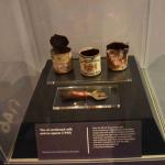 DSC_0103_00092 (June 24, 2023)